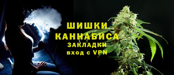 амф Арсеньев