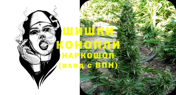 прущие грибы Армянск