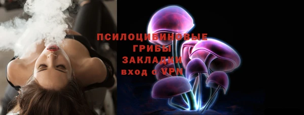 прущие грибы Армянск