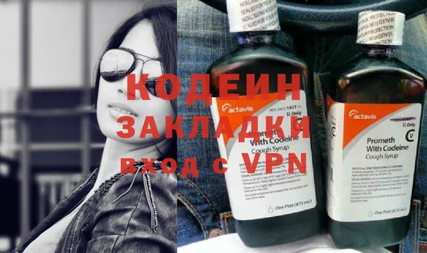 прущие грибы Армянск