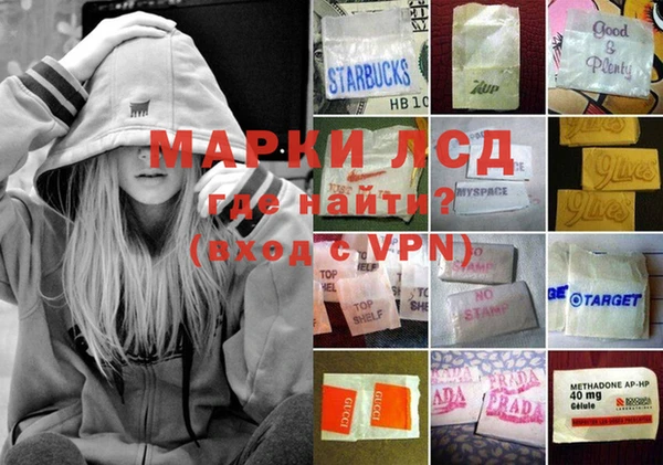 прущие грибы Армянск