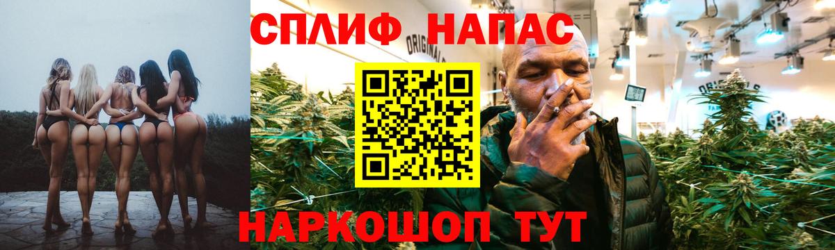 Канабис планчик Дзержинск